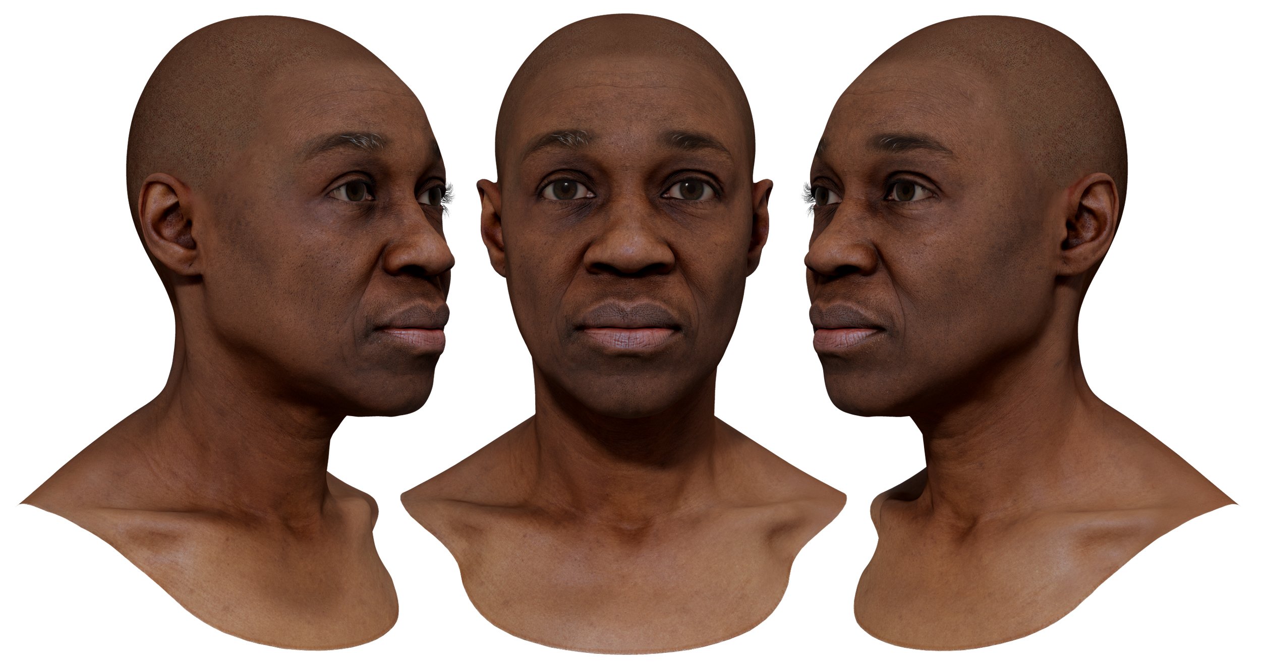 Download 3D Female Head Scan with UV Maps